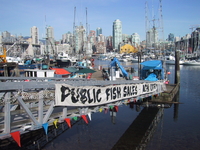 Public_fish_sales
